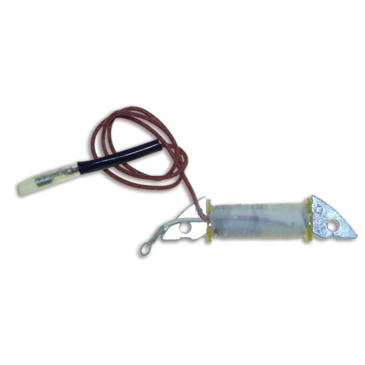 Cdi Elec. Yamaha Statorspole