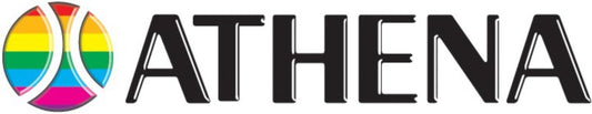 Athena Piston kit Ø 53,95