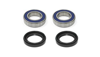 Bronco bearing & sealkit (79-06621)