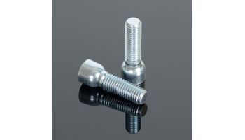 Renthal Spare Bolts M10X42mm (For CL060 & CL061 FB36)