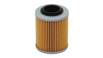 Bronco Oil filter CF Moto (79-07056)