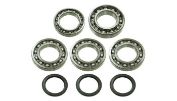 Bronco Differential Bearing & Seal Kit (78-03A07)
