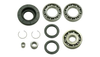 Bronco Differential Bearing & Seal Kit (78-03A24)