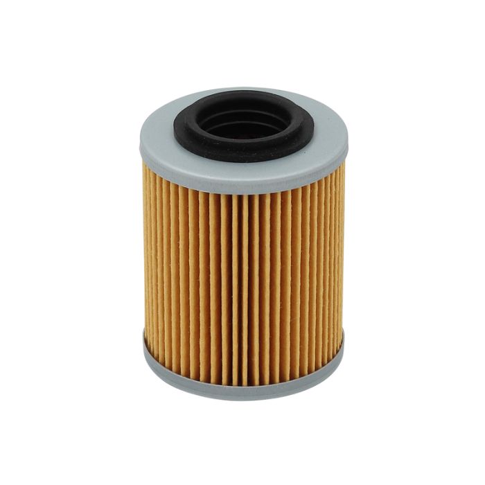 Bronco Oil filter CF Moto (79-07056)