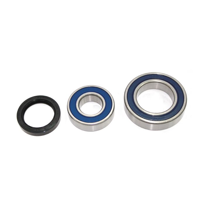 Sno-X Chain case bearing kit Ski-Doo